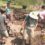 Community Dig