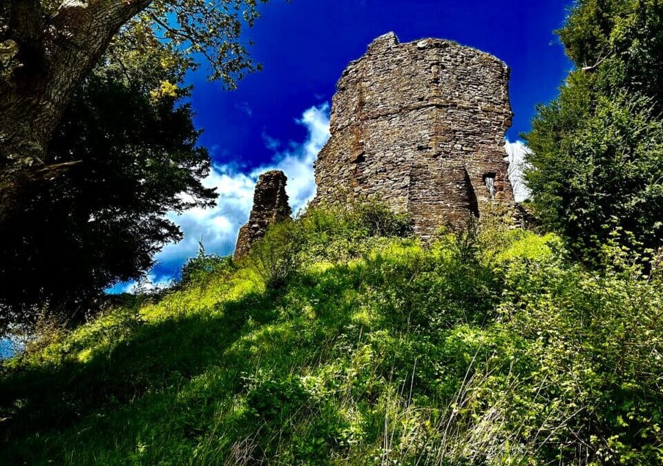 What’s on at your castle